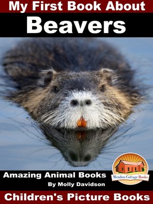 cover image of My First Book About Beavers